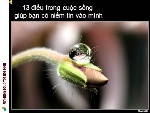 lonh tin
