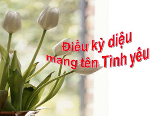 Điều kỳ diệu mang tên Tình Yêu