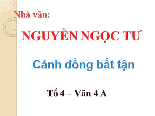 CÁnh đồng bất tận