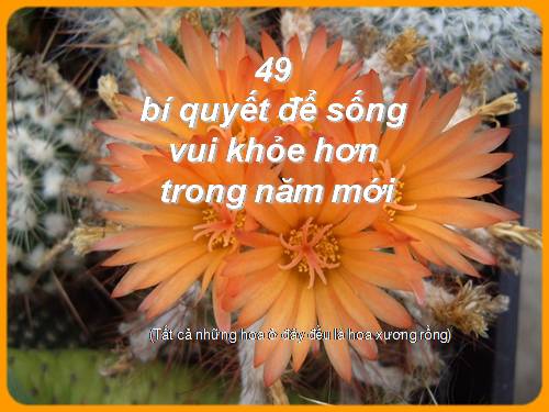 49 BÍ QUYẾT VVUI TRONG CUỘC SỐNG...