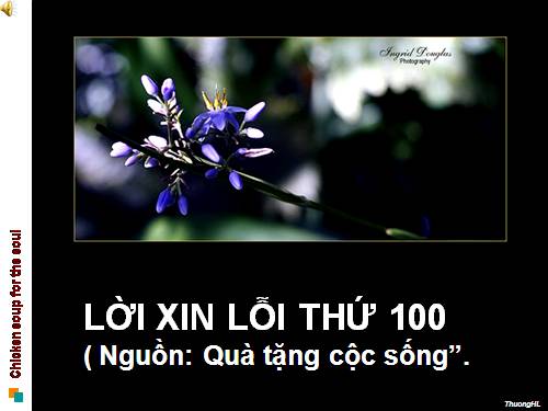 Lời xin lỗi thứ 100