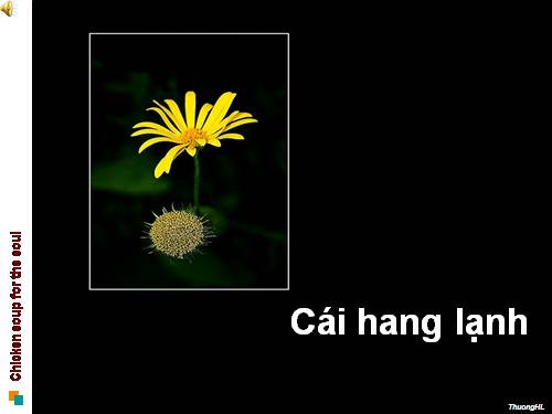 Cái hang lạnh