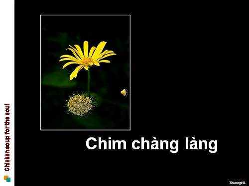 Hãy là chính mình