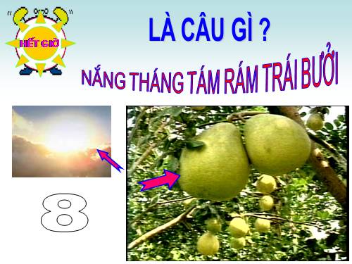 Đuổi hình bắt chữ 10