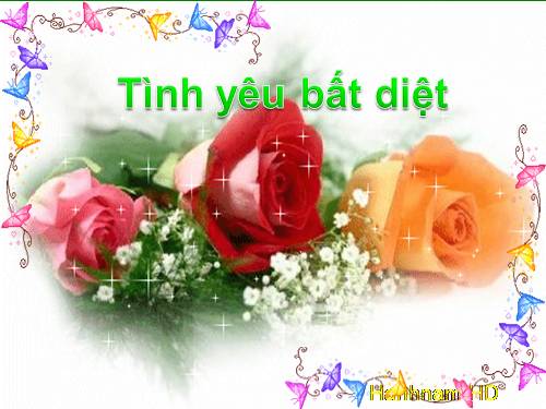 TINH YEU BAT DIET