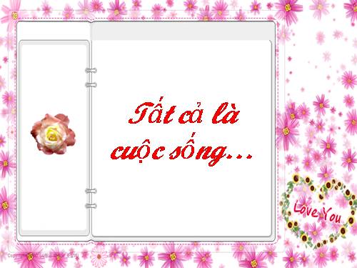 TẤT CẢ LÀ CUỘC SỐNG