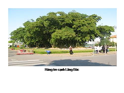 Tập ảnh - Lăng Bác Hồ