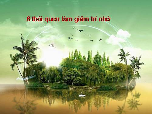 6 thói quen làm giảm trí nhớ