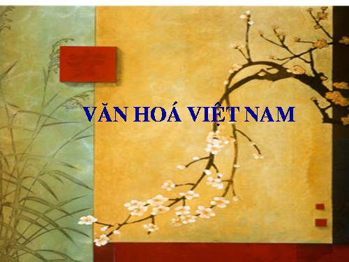 van hoa viet nam