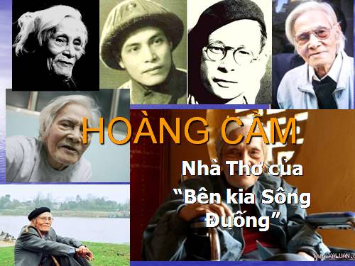 HOÀNG CẦM