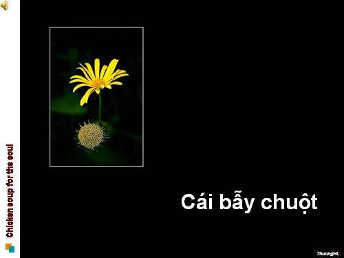 Cái bẫy chuột