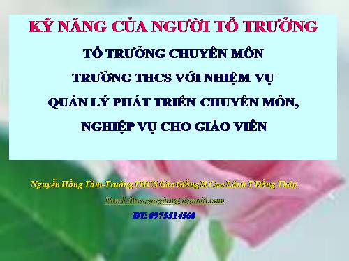 KỸ NĂNG LÀM CÔNG TÁC TỔ TRƯỞNG-Nguyễn Hồng Tâm Trường THCS Gáo Giồng