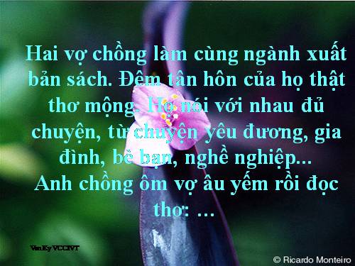 thơ vui về sách