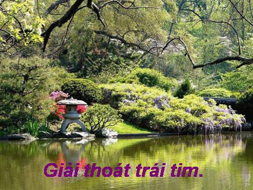 các phương pháp giải thoát trái tim