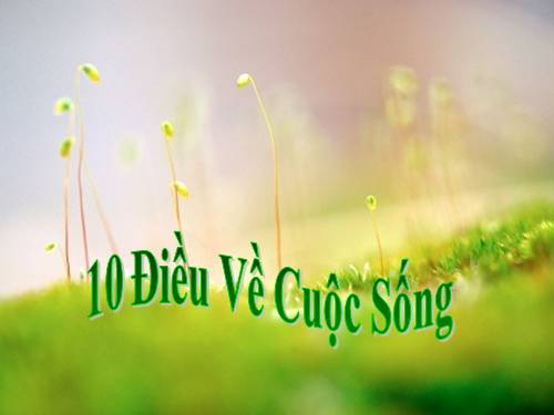 10 điều hay về cuộc sống