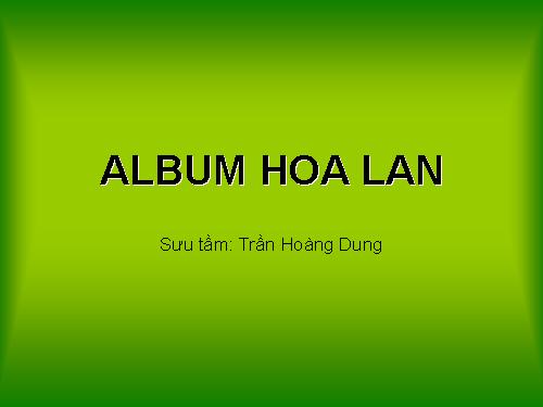 Album Hoa Lan