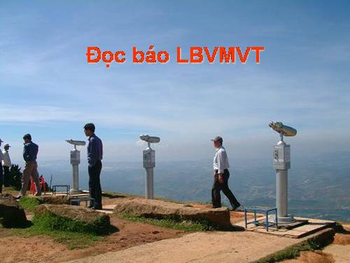 Đọc báo LBVMVT