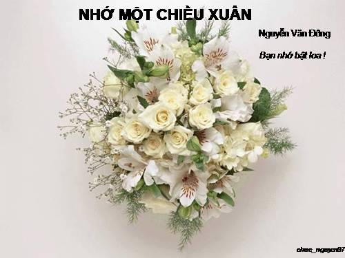 Nho mot chieu xuan