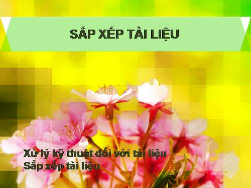 sắp xếp tài liệu