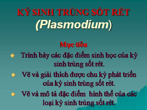 bai giang ky sinh trung sot ret