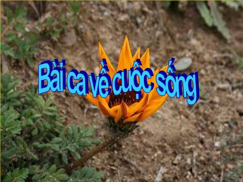 bai ca cuoc song