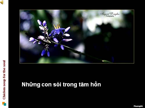 truyện những con sói trong tâm hồn