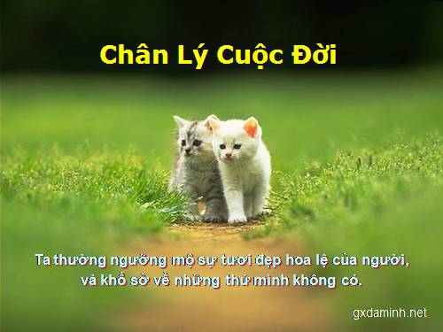 Chân lí cuộc đời