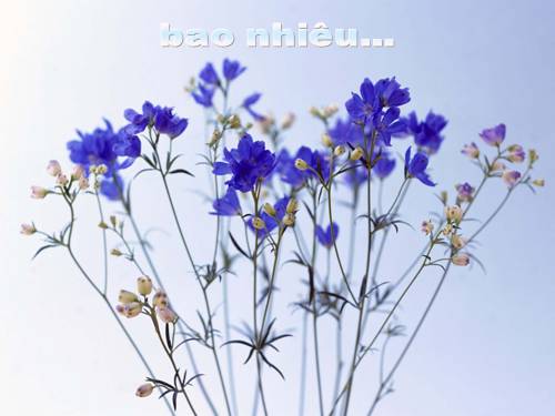 Hãy quý trọng những gì đang có