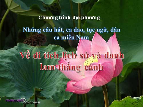 Chương trình địa phương HKII ( DLTC, DTLS )