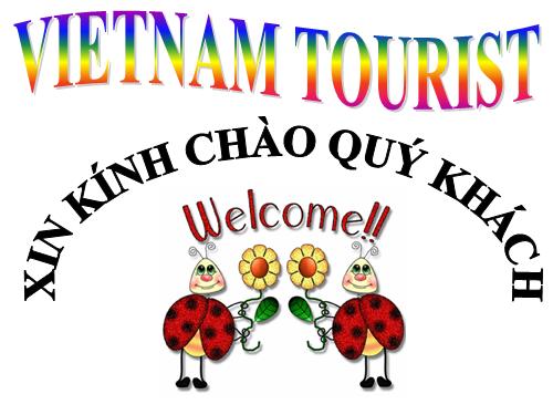Sông nước Cà Mau