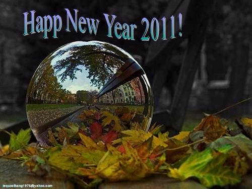 Hoa va nhac Happy New Year 2011