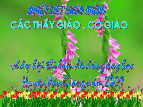 Nhà văn của chúng em