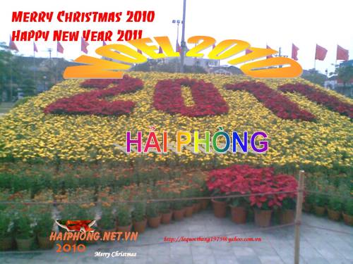 Noel and New Year 2011of Haiphong city