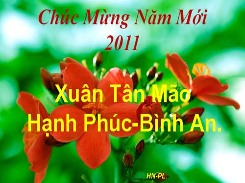 Quà tặng đầu năm.