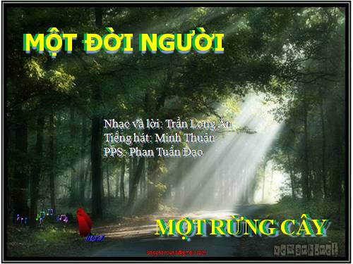 Một đời người, một rừng cây