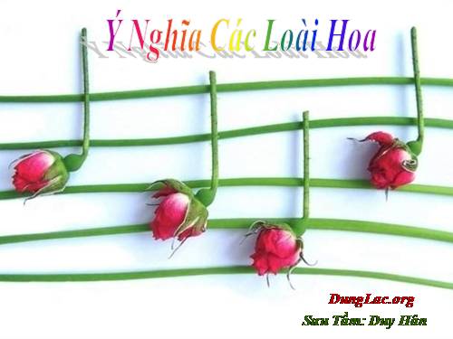 một tư liệu hay