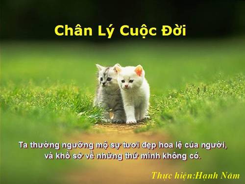 Chân lý cuộc đời.