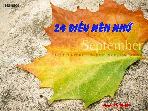 24 ĐIỀU NÊN NHỚ