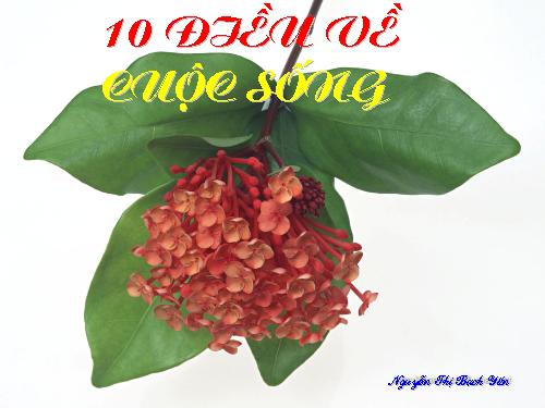 10 ĐIỀU VỀ CUỘC SỐNG