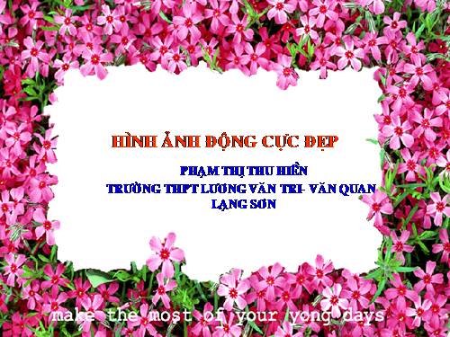 Ảnh Động Đẹp