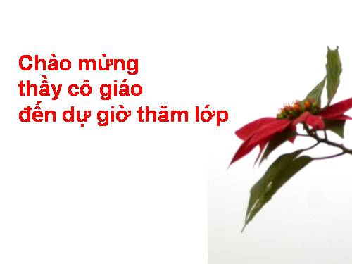 Tố Hữu