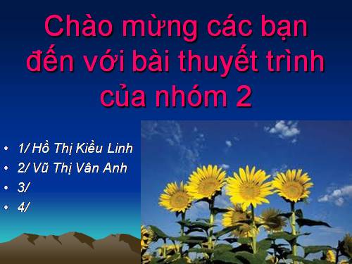 Trí tuệ và sự phát triển trí tuệ lứa tuổi THCS