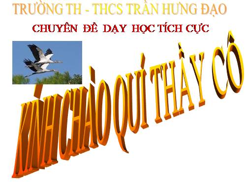 chuyen de day hoc tich cuc