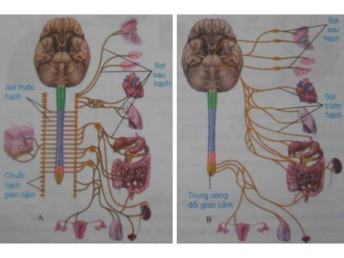 CÁC LOẠI HÌNH ẢNH ĐỒNG HỒ