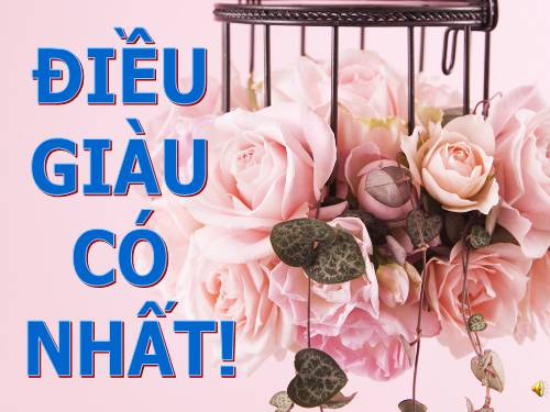 Điều giàu có nhất