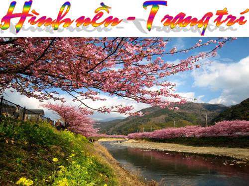 HÌNH NỀN-TRANG TRÍ