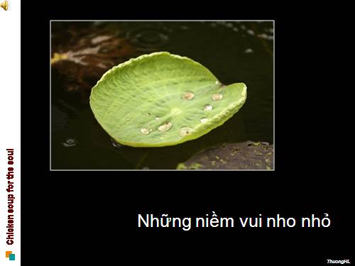 Những niềm vui nhỏ