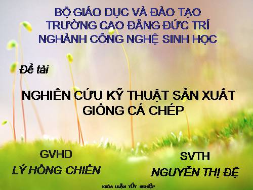 KHÓA LUẬN - SẢN XUẤT GIỐNG CÁ CHÉP  GIỐNG - NGÀNH SINH HỌC