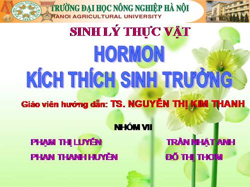 hormon sinh trưởng