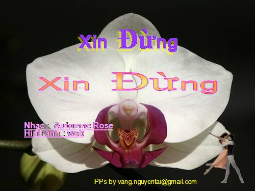 xin dung